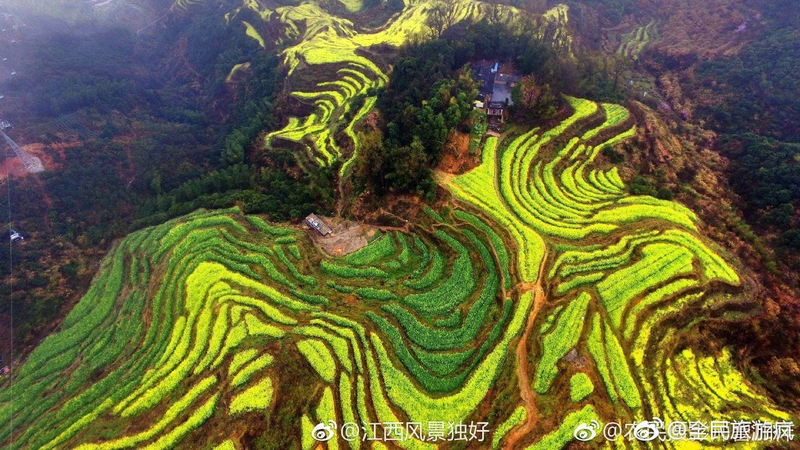 婺源篁岭梯田