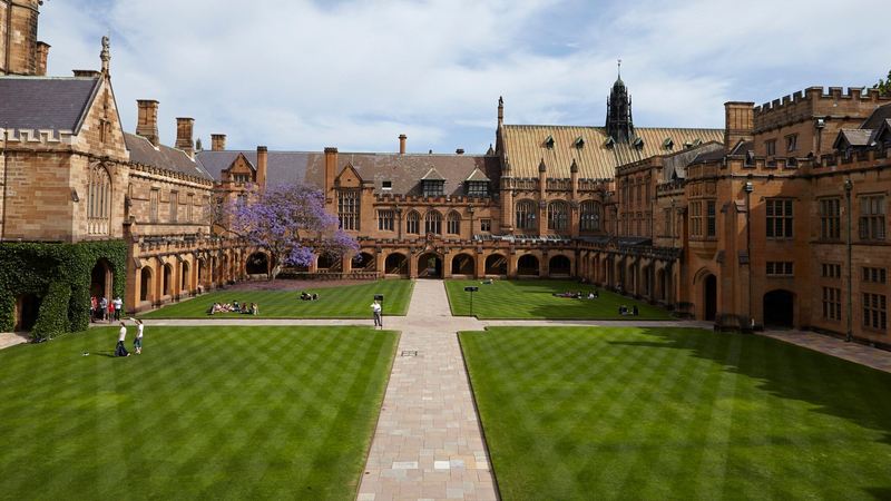 悉尼大学
